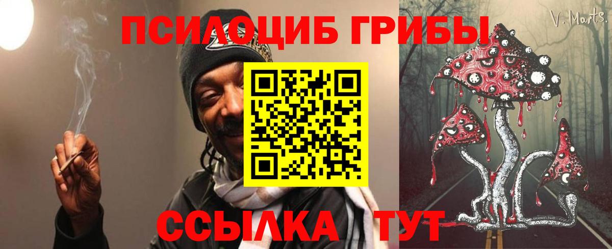 Фрязино  Псилоцибиновые грибы мухоморы  закладка  Вход с VPN 