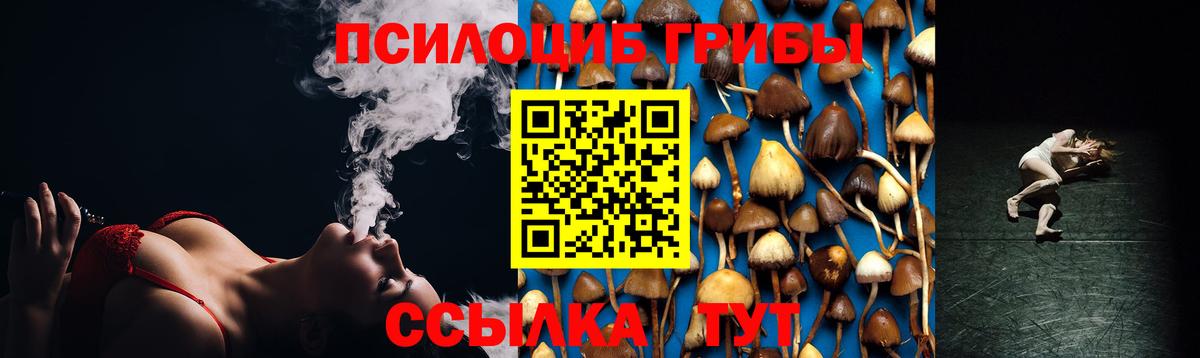 Галлюциногенные грибы прущие грибы Фрязино